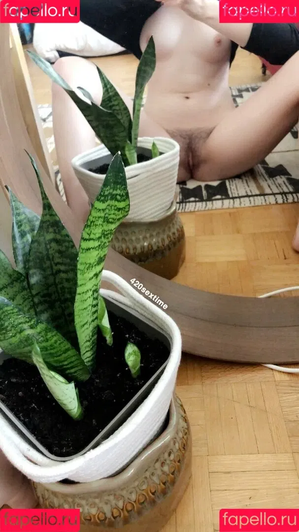 sextime420 Onlyfans Photo Gallery 