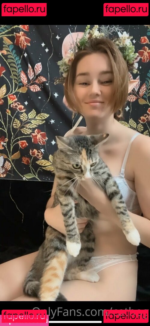 catbog / catbog40 Onlyfans Photo Gallery 