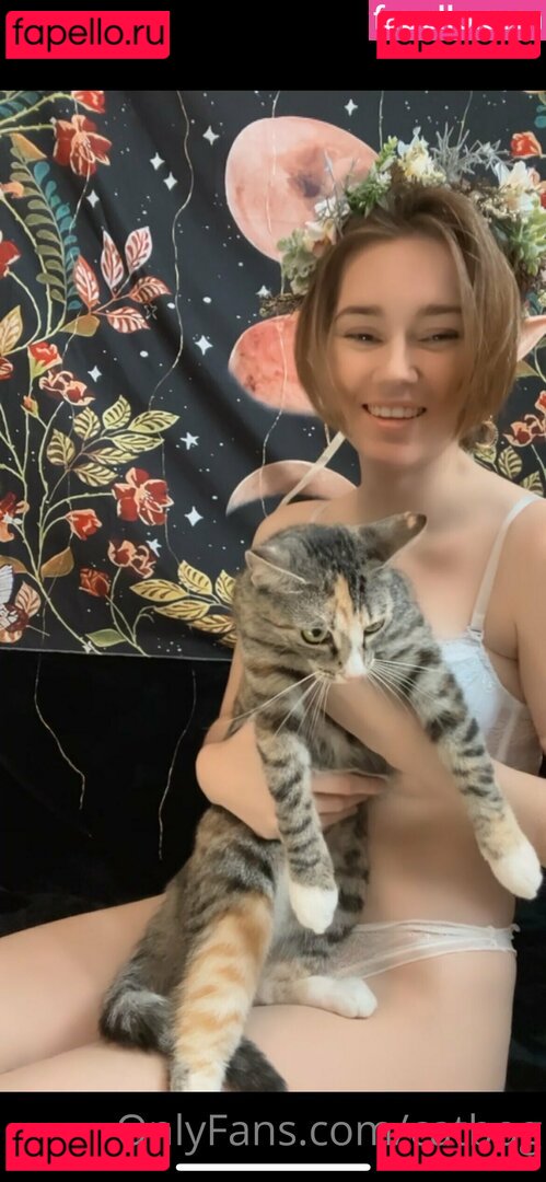 catbog / catbog40 Onlyfans Photo Gallery 