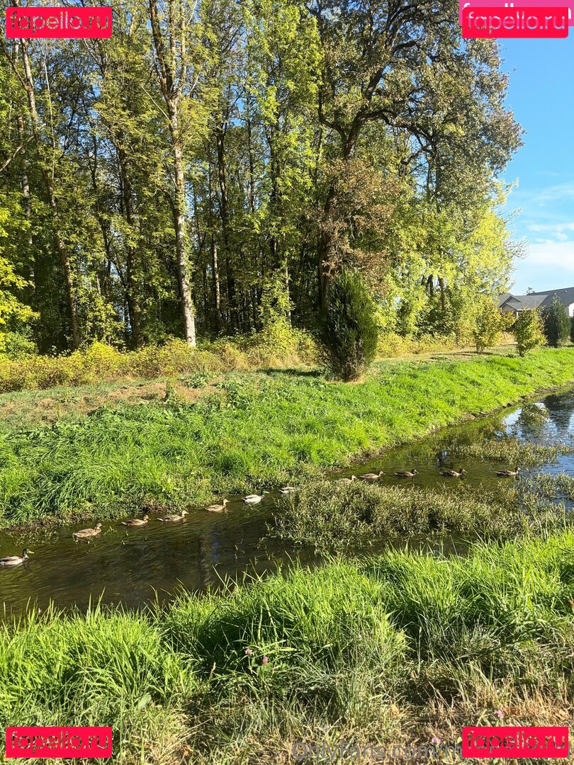 mcopelandd Onlyfans Photo Gallery 