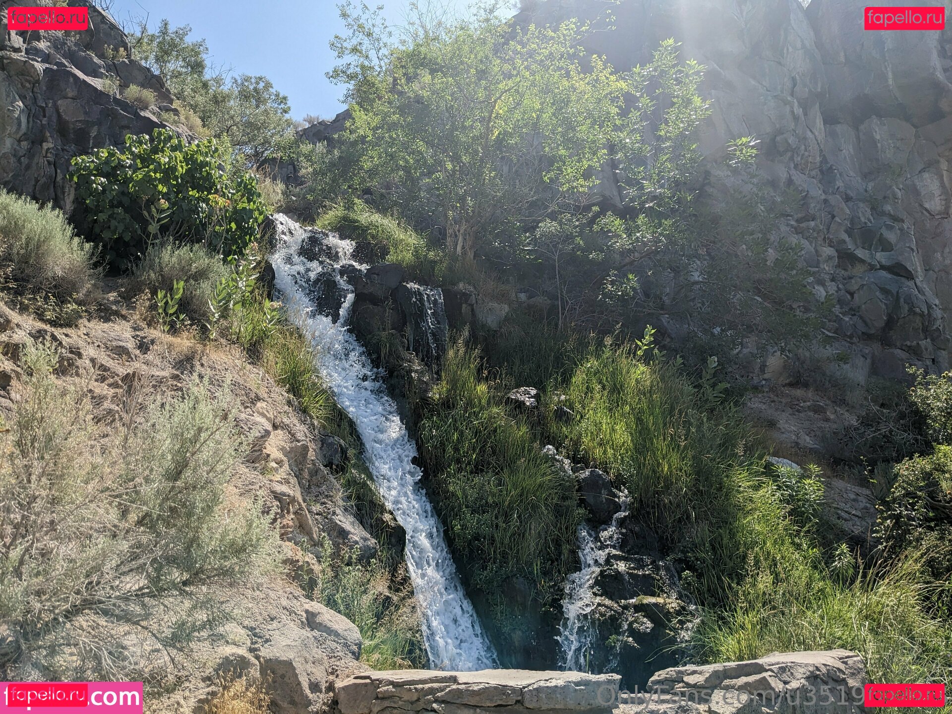 astrid-eclipse / astrid.eclipsed / ivy Onlyfans Photo Gallery 