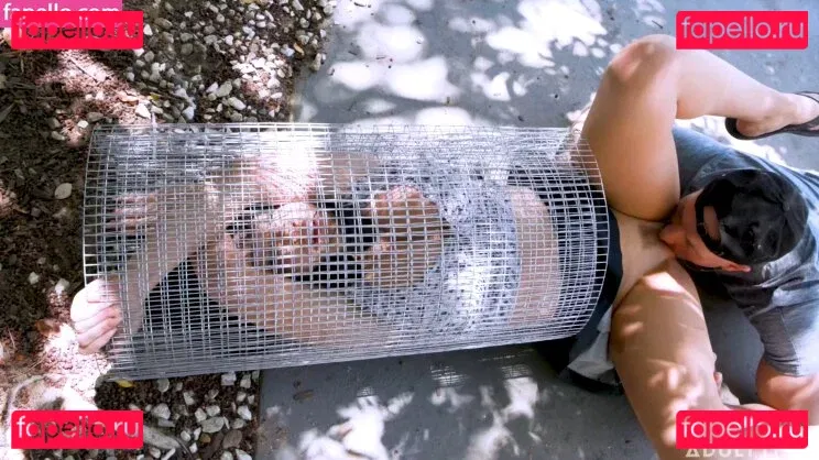 Jennifer White Onlyfans Photo Gallery 