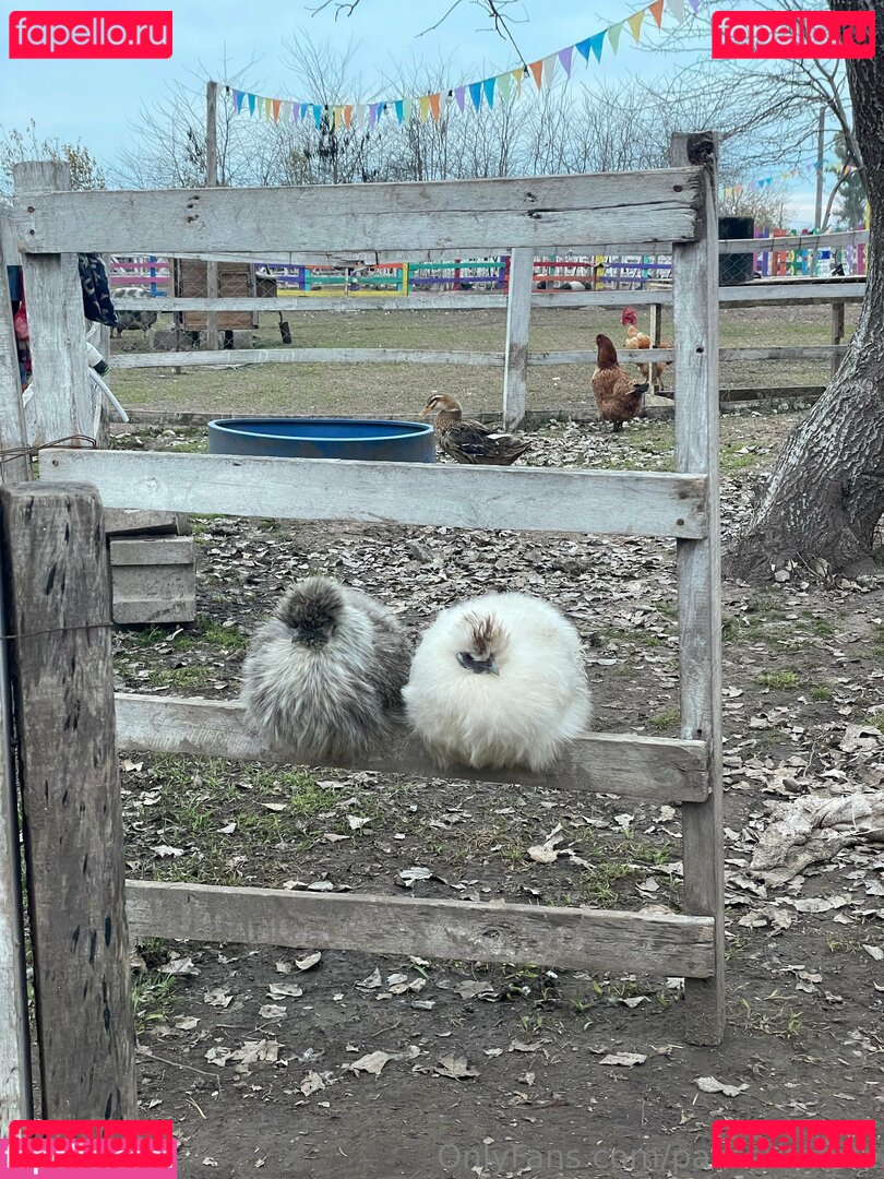 panteritafree Onlyfans Photo Gallery 