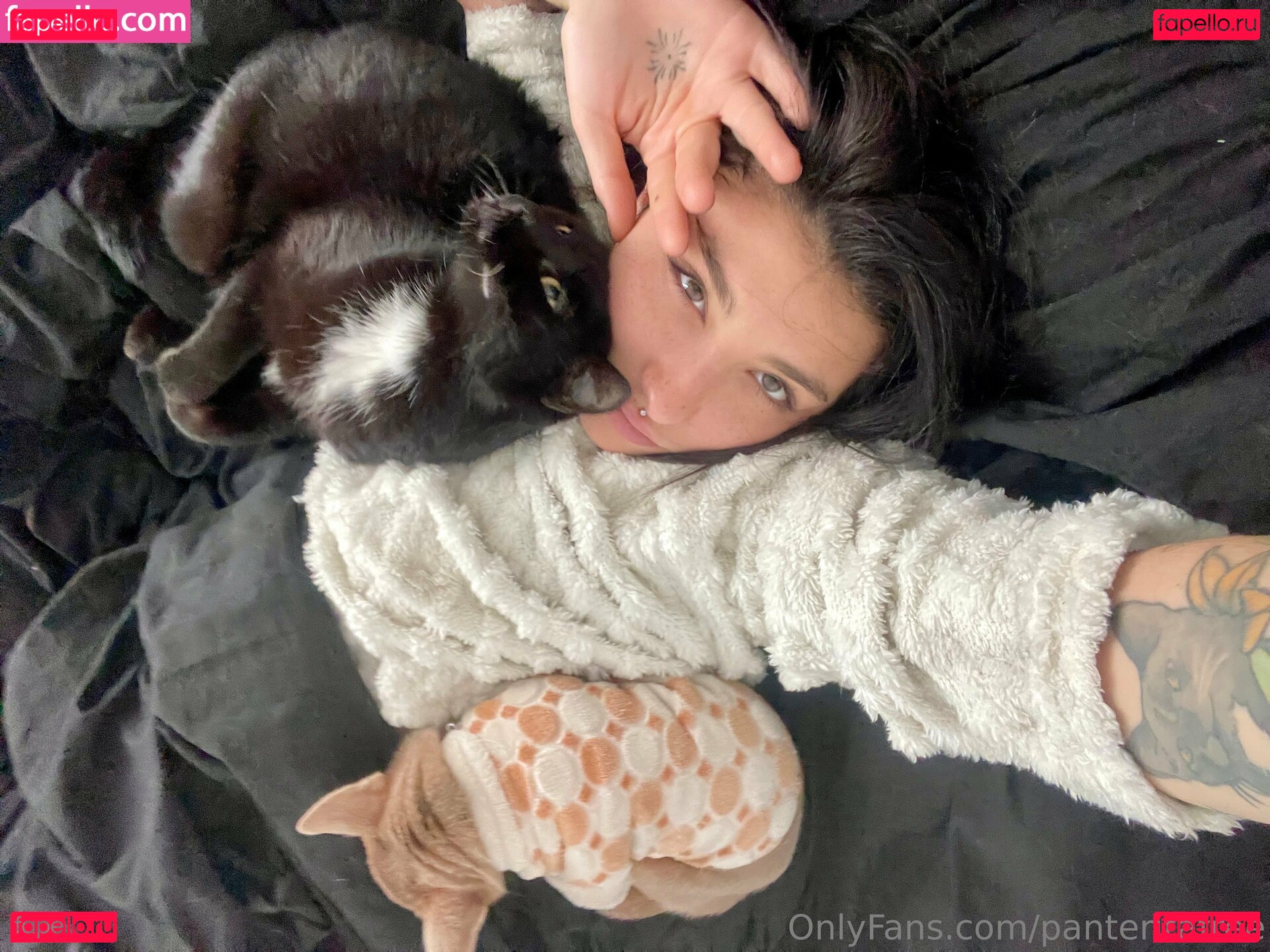 panteritafree Onlyfans Photo Gallery 