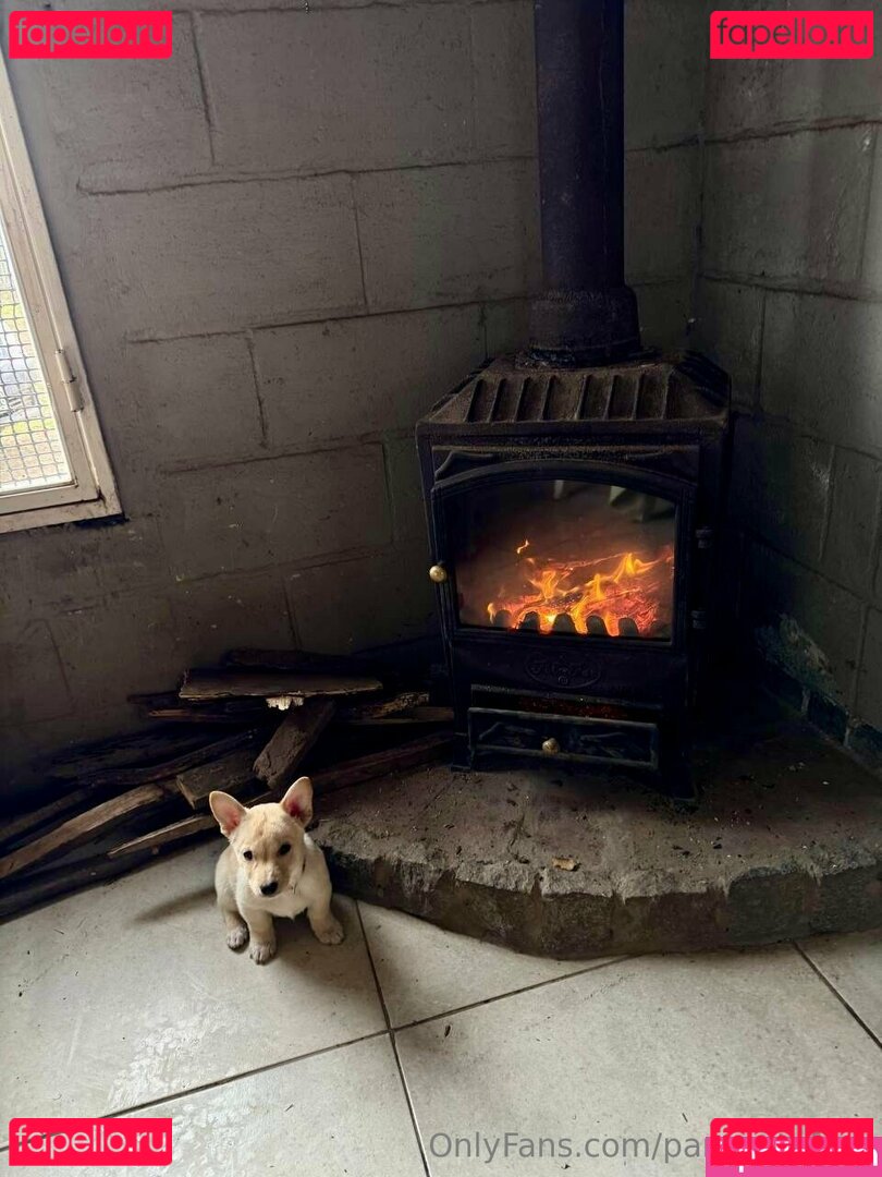 panteritafree Onlyfans Photo Gallery 