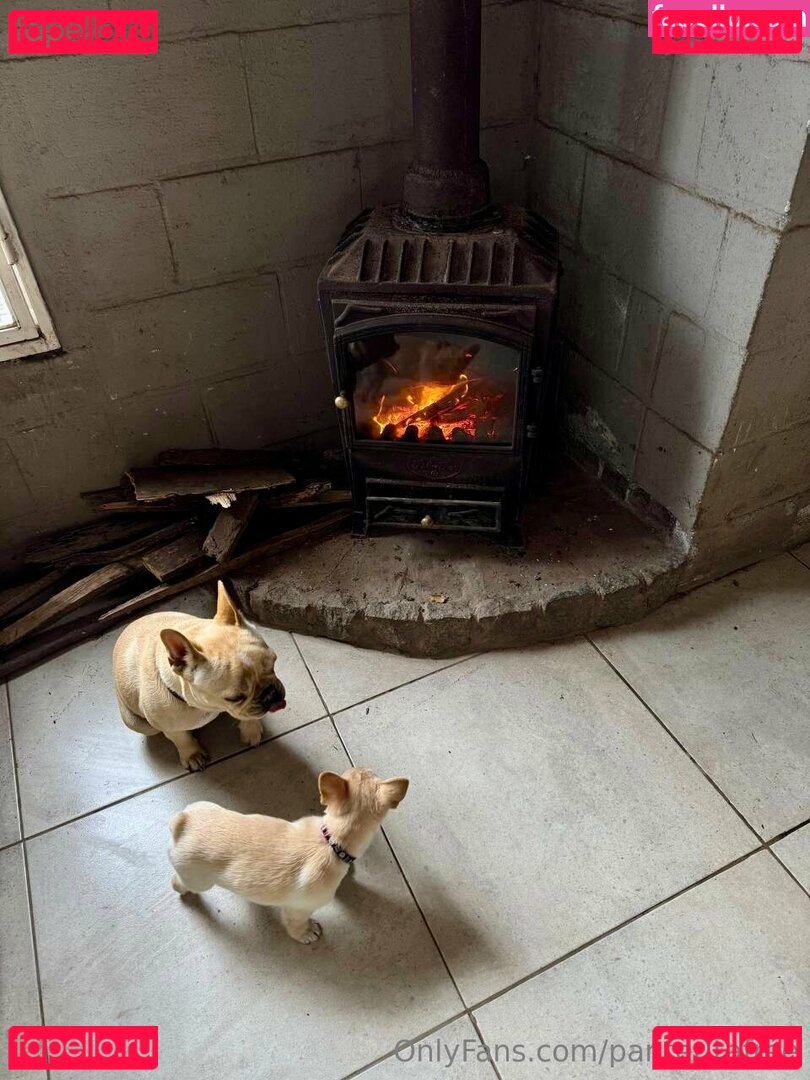 panteritafree Onlyfans Photo Gallery 