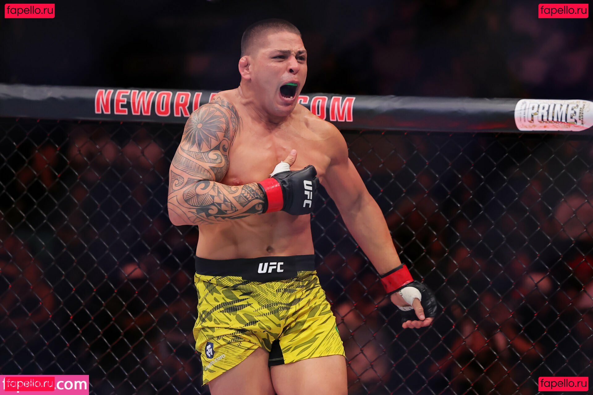 Altelliegrace Onlyfans Photo Gallery 