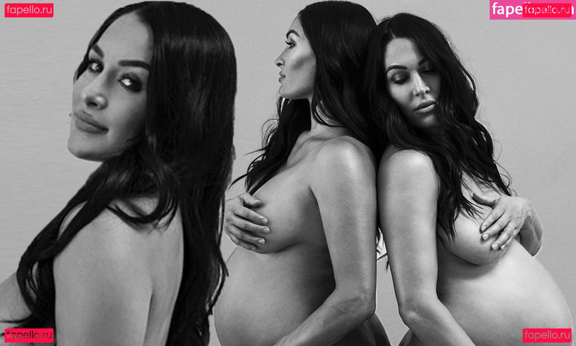Brie Bella / brie Nude Onlyfans Photo 26