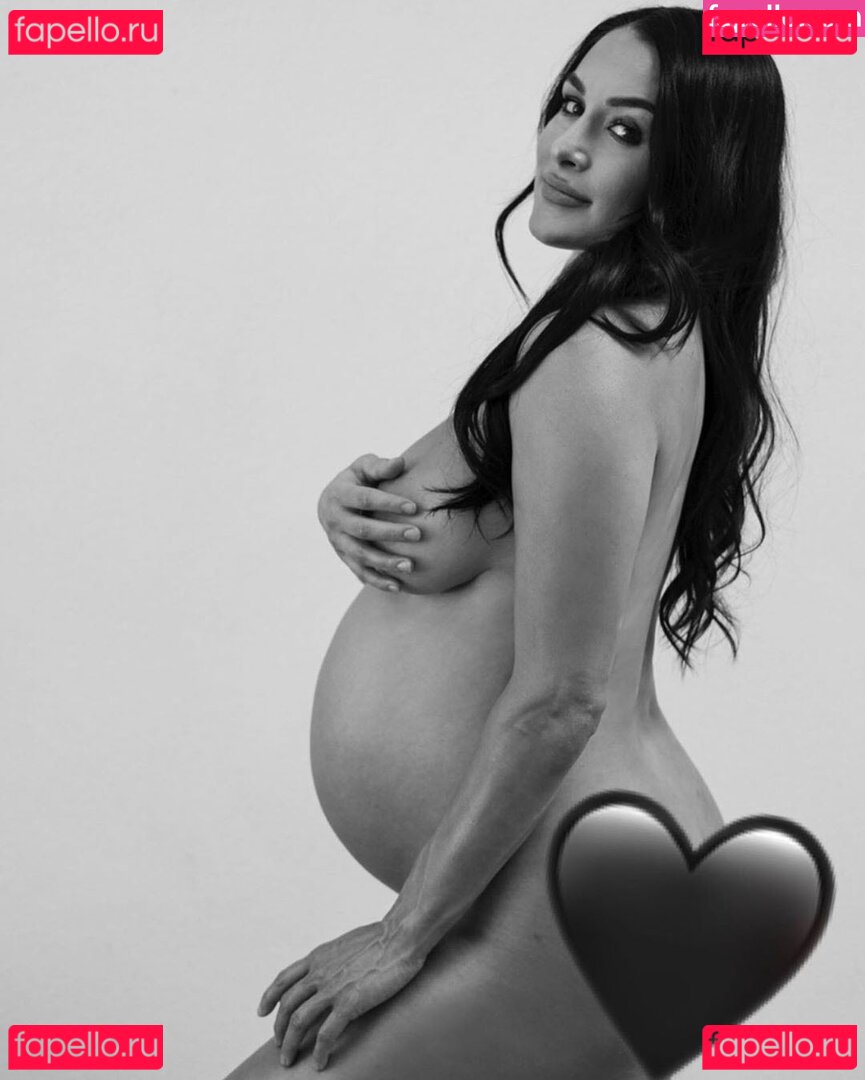 Brie Bella / brie Nude Onlyfans Photo 25