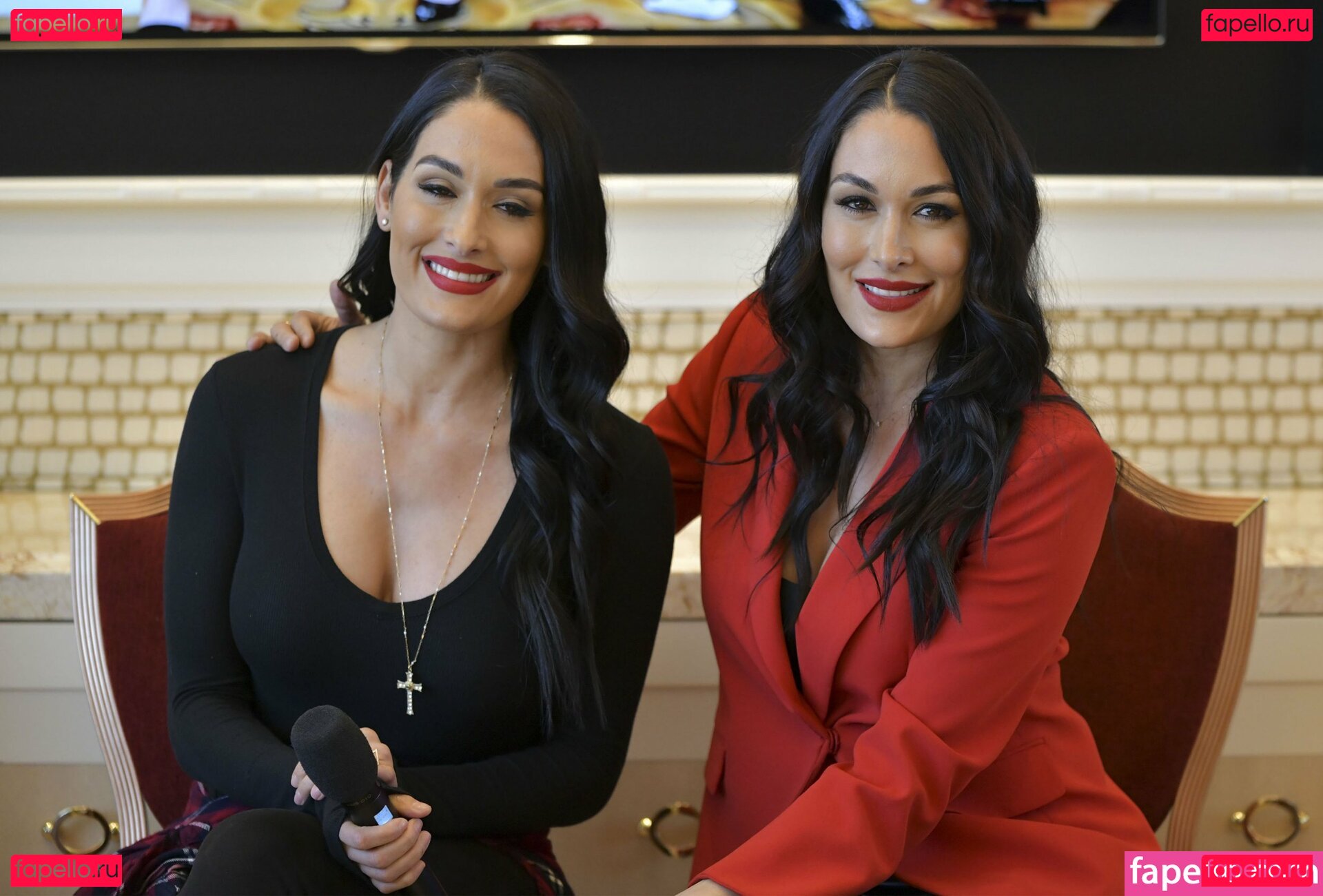 Brie Bella / brie Nude Onlyfans Photo 12