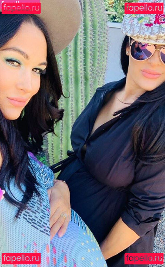 Brie Bella / brie Nude Onlyfans Photo 11