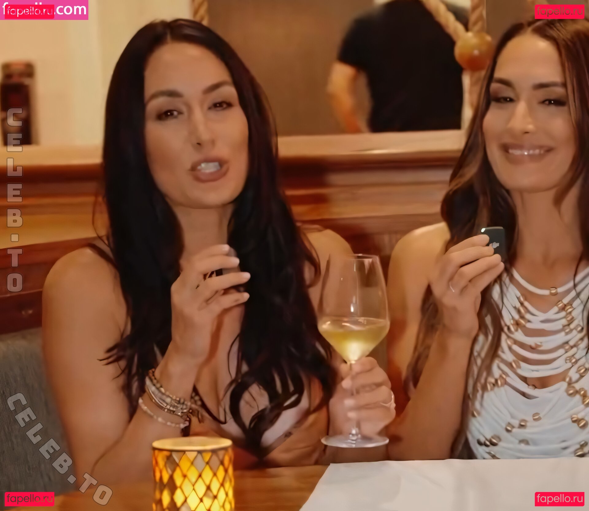 Brie Bella / brie Nude Onlyfans Photo 3