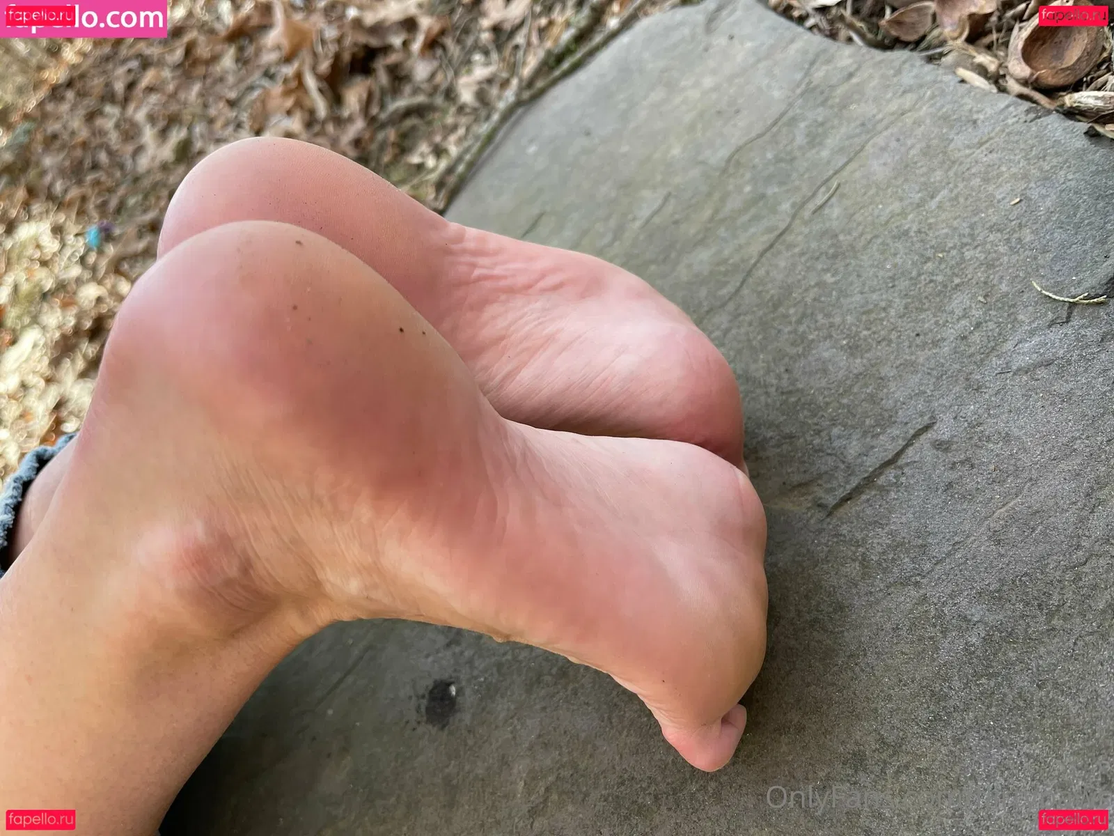 flirtypaws Onlyfans Photo Gallery 