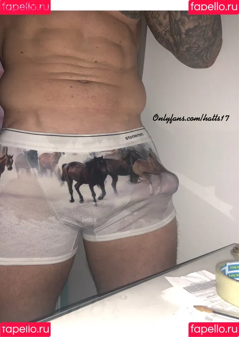 hatts17 Onlyfans Photo Gallery 