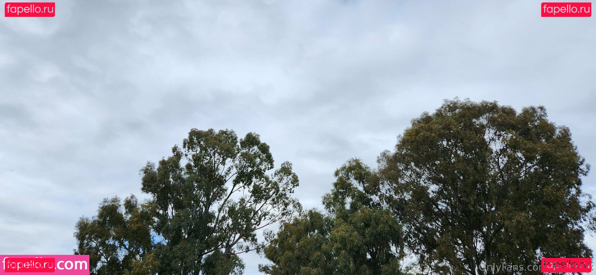 snacks215 / snacksixfree Onlyfans Photo Gallery 