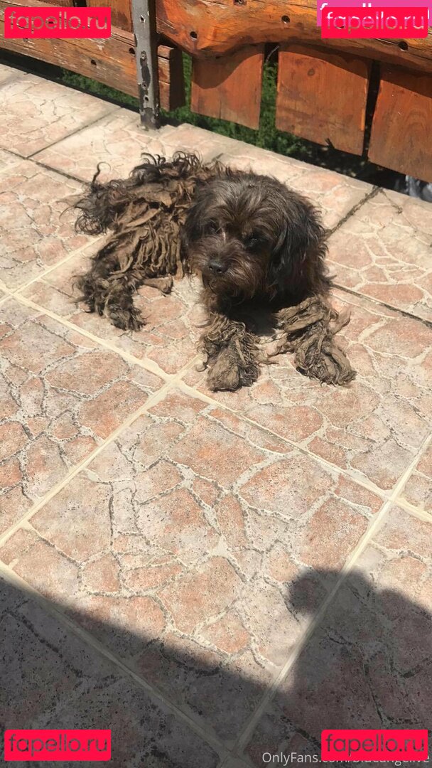 blueangelive / pprincess_annabelle Onlyfans Photo Gallery 