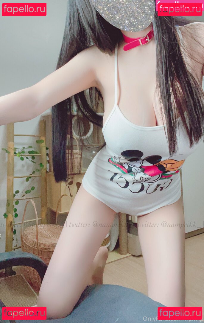 Namprikk / Npxvip / namprik / namprikk_ Nude Onlyfans Photo 29