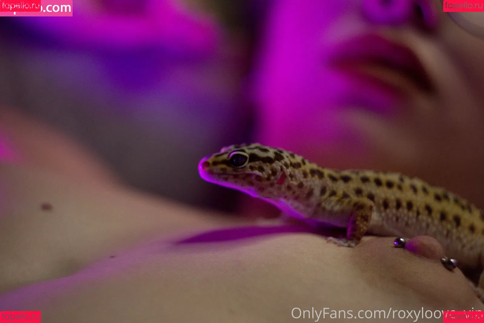 roxyloove_vip Onlyfans Photo Gallery 