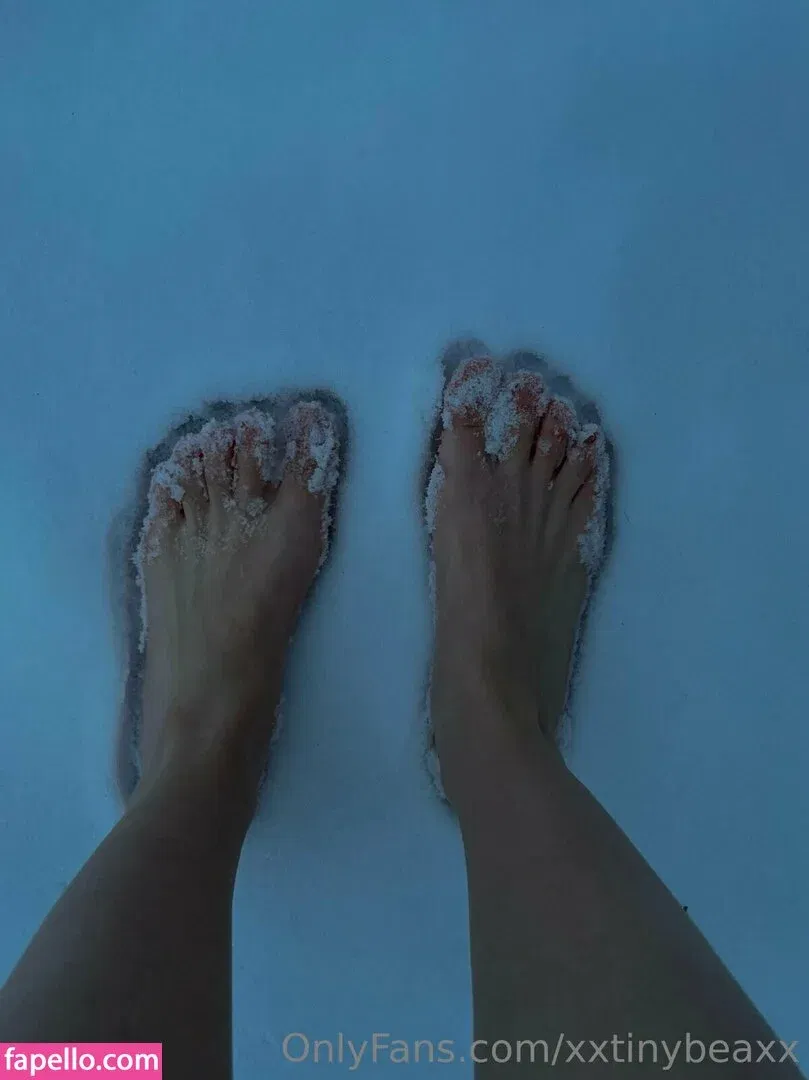 xxtinybeaxx Onlyfans Photo Gallery 