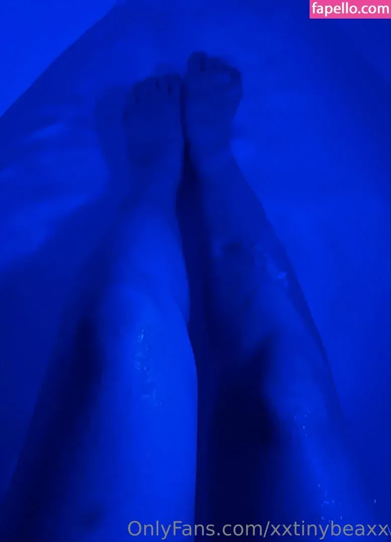 xxtinybeaxx Onlyfans Photo Gallery 