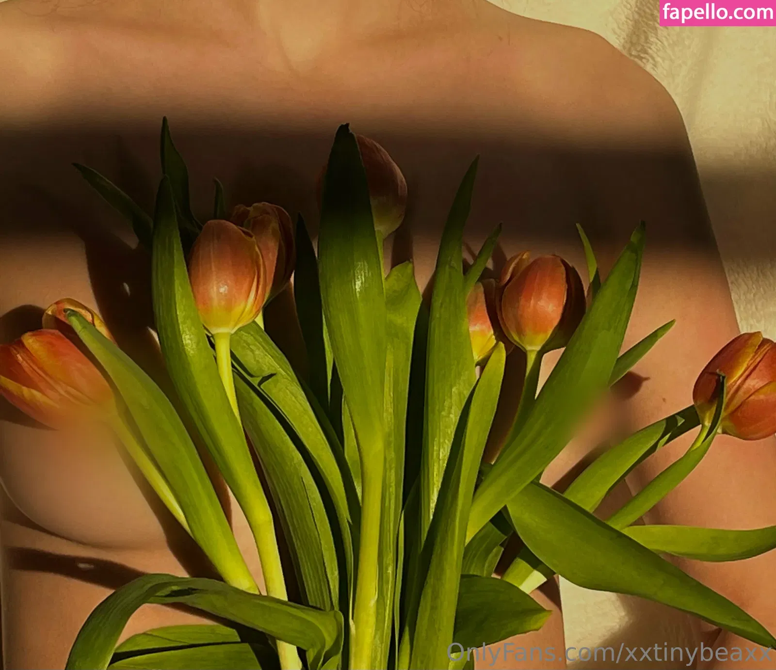 xxtinybeaxx Onlyfans Photo Gallery 