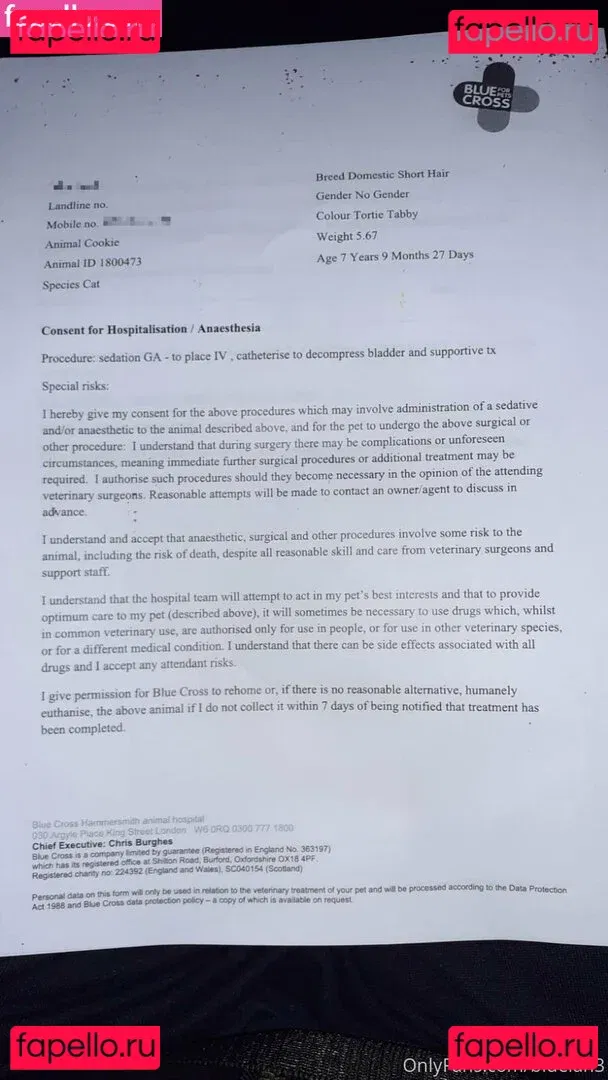 bluelah3 Onlyfans Photo Gallery 