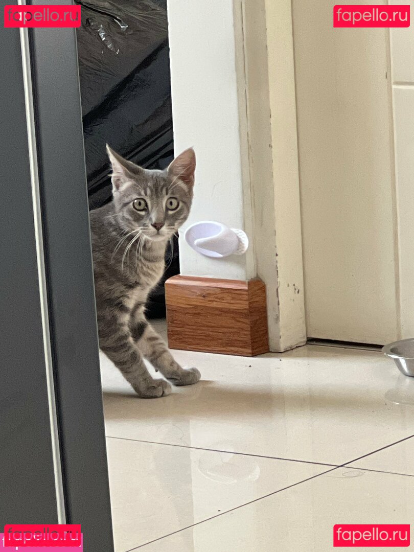 broskithebull / onlybroski Onlyfans Photo Gallery 