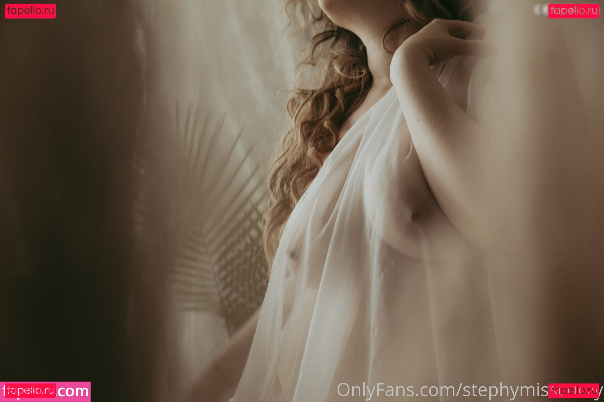 Stephymisscurvy/Stephy Reid / msstephyreid Nude Onlyfans Photo 10
