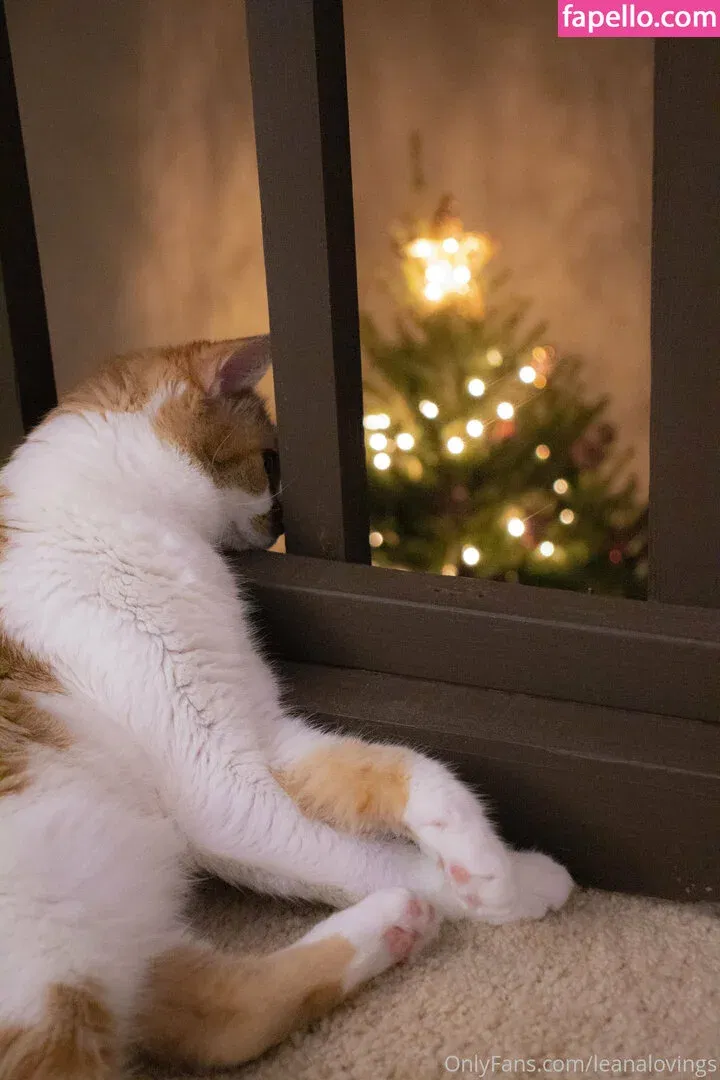 leanalovings Onlyfans Photo Gallery 