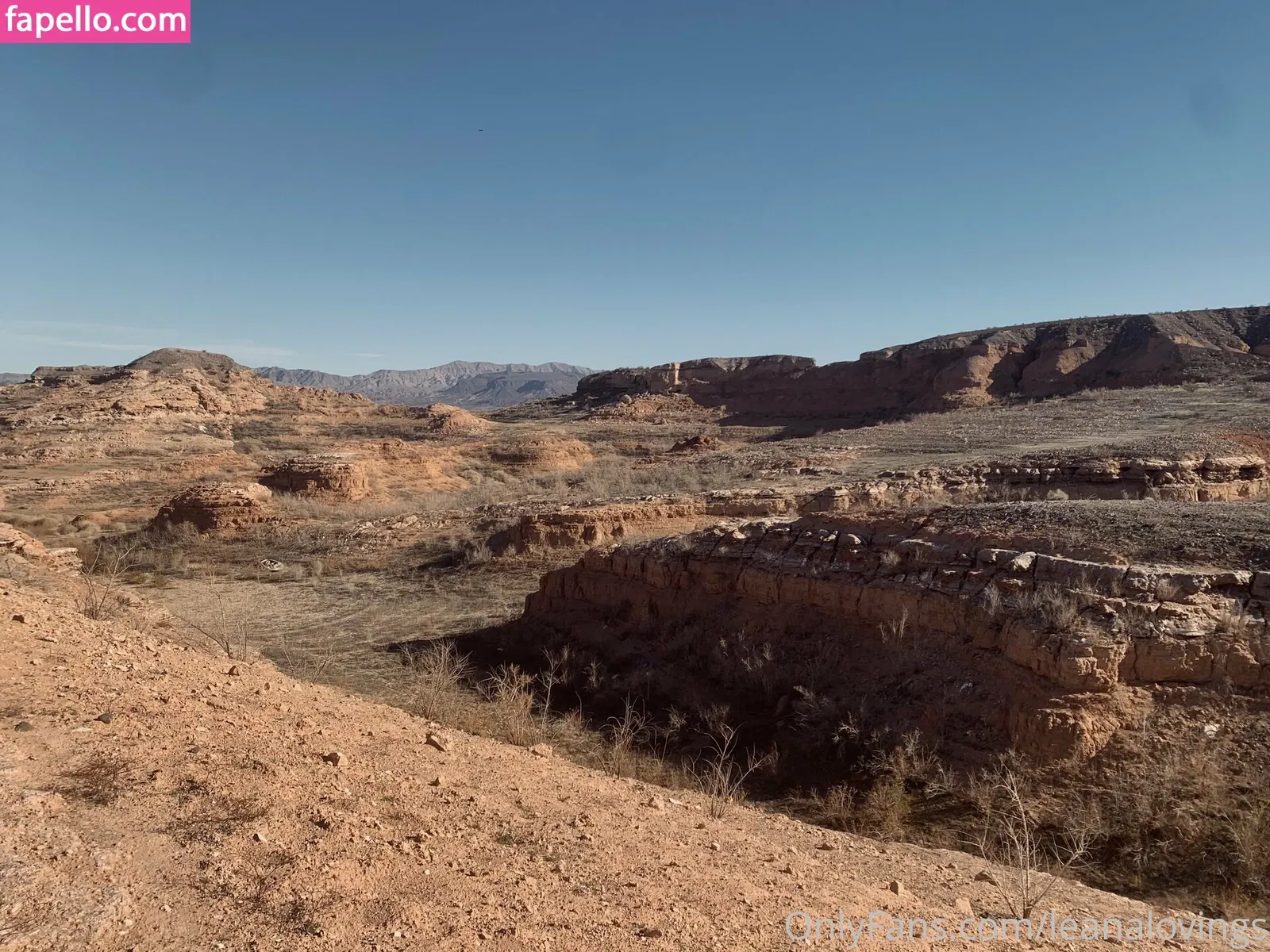 leanalovings Onlyfans Photo Gallery 