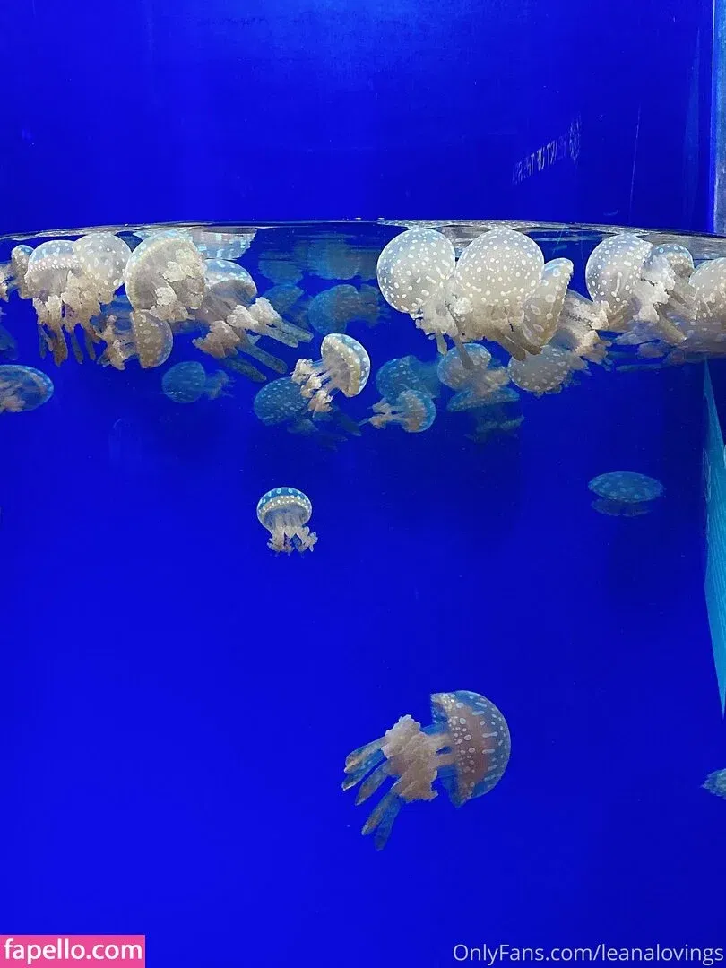 leanalovings Onlyfans Photo Gallery 