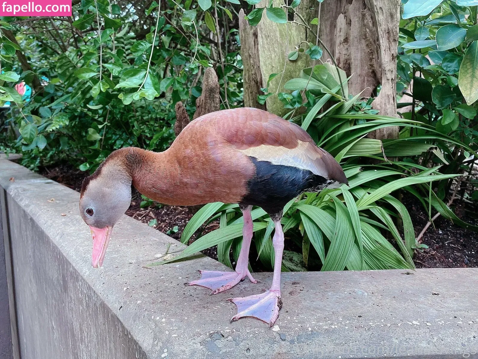 leanalovings Onlyfans Photo Gallery 