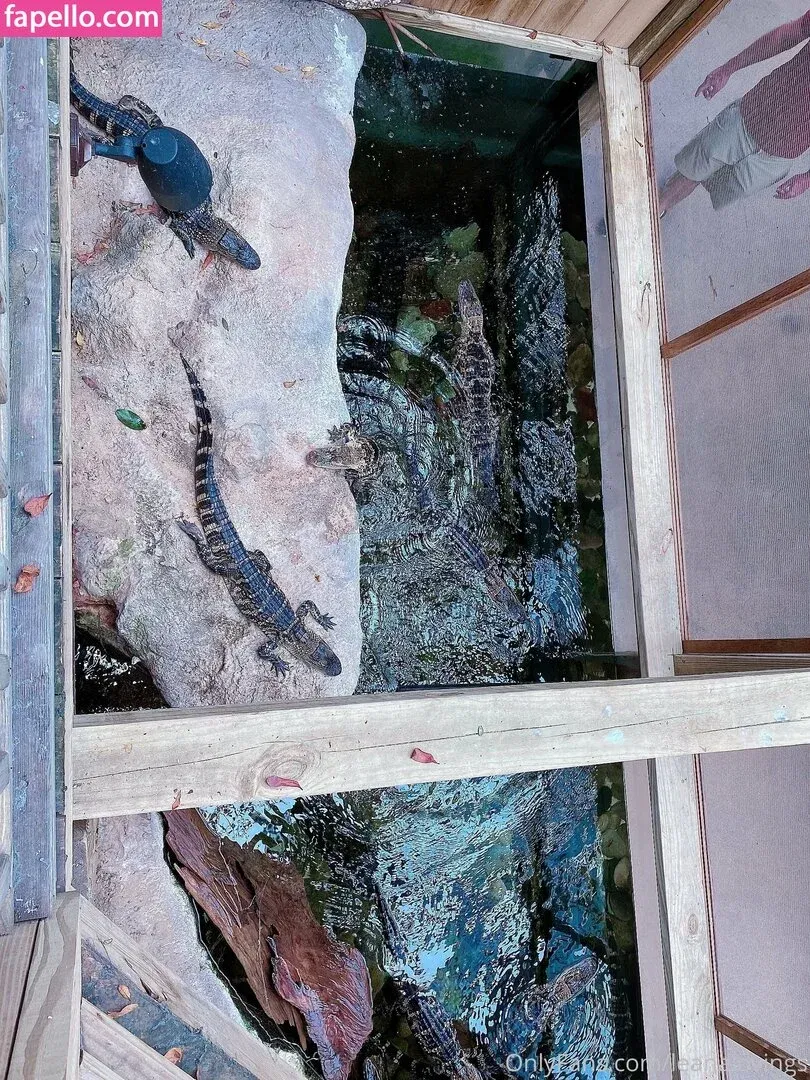 leanalovings Onlyfans Photo Gallery 