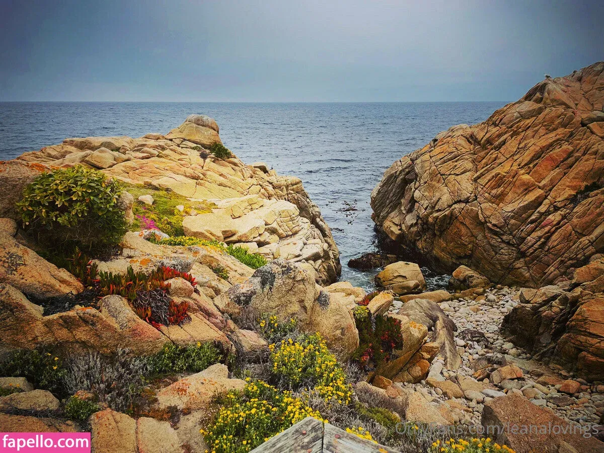 leanalovings Onlyfans Photo Gallery 