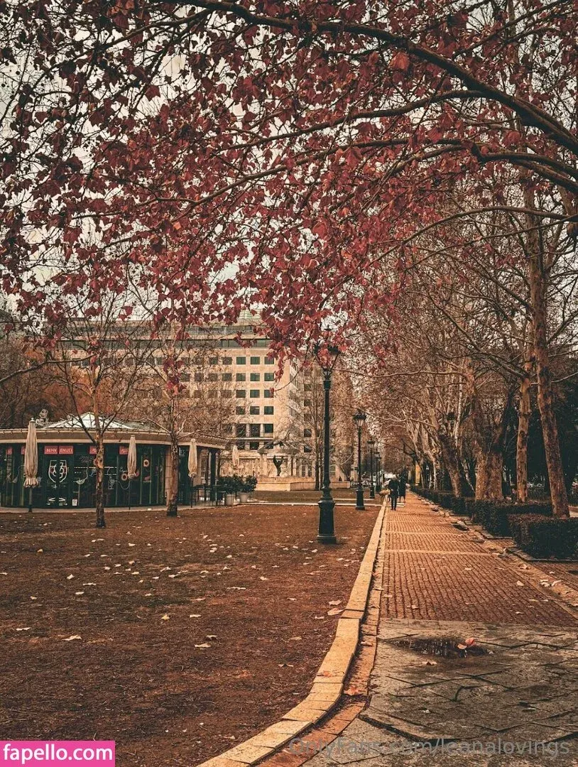 leanalovings Onlyfans Photo Gallery 