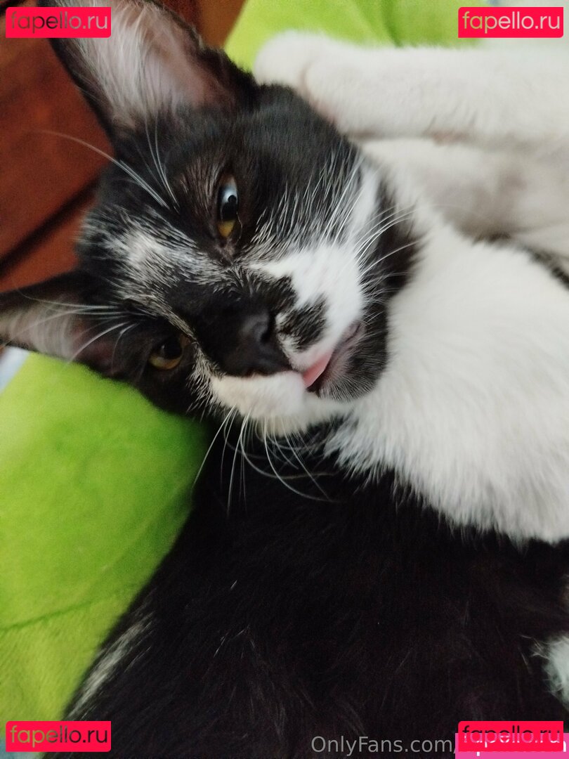 innluu / innuvukuu Onlyfans Photo Gallery 