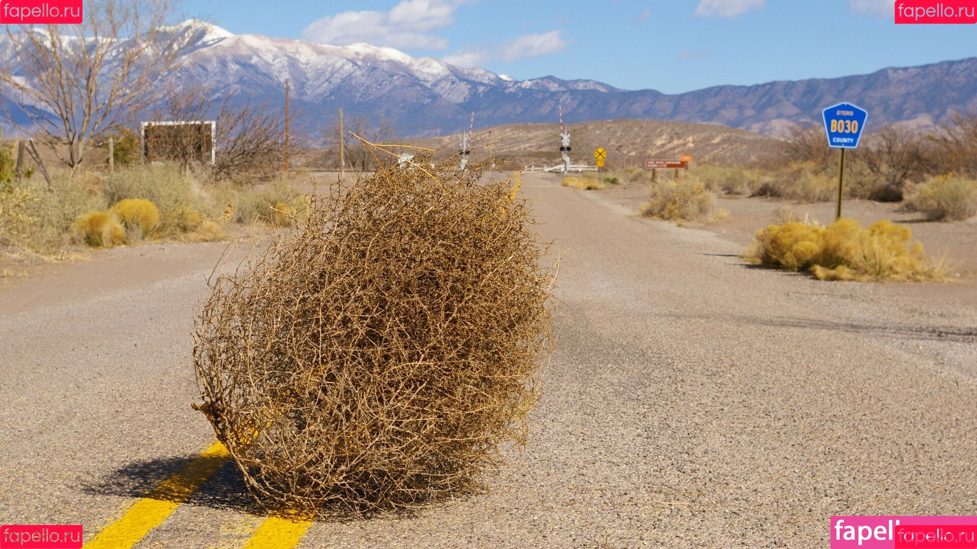 Kimmee Onlyfans Photo Gallery 