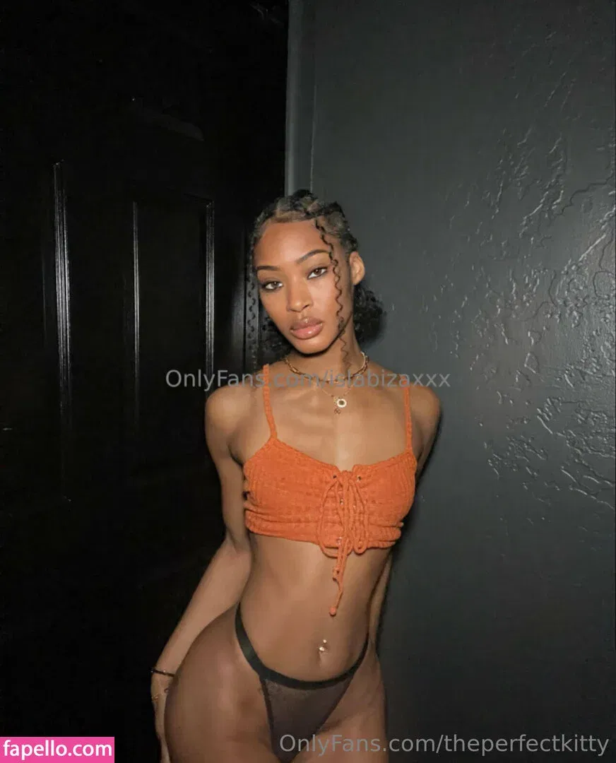 theperfectkitty Onlyfans Photo Gallery 