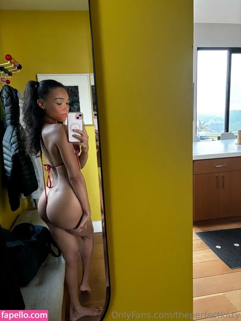 theperfectkitty Onlyfans Photo Gallery 