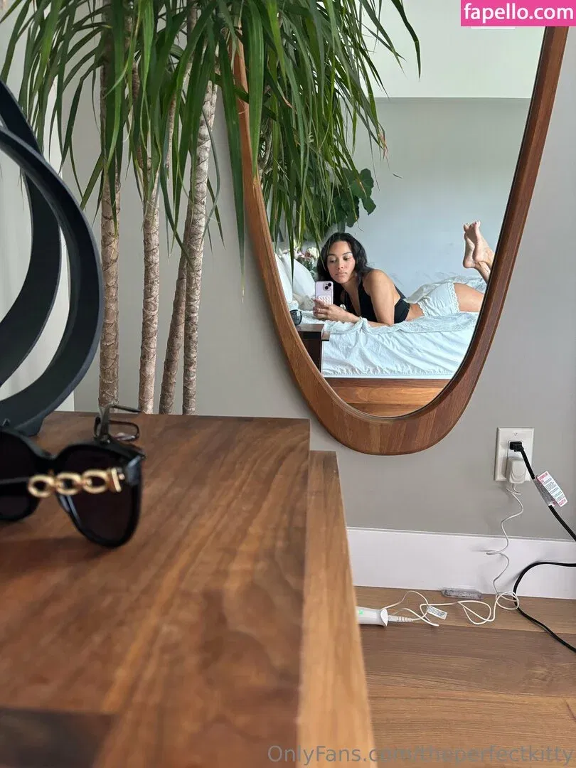 theperfectkitty Onlyfans Photo Gallery 