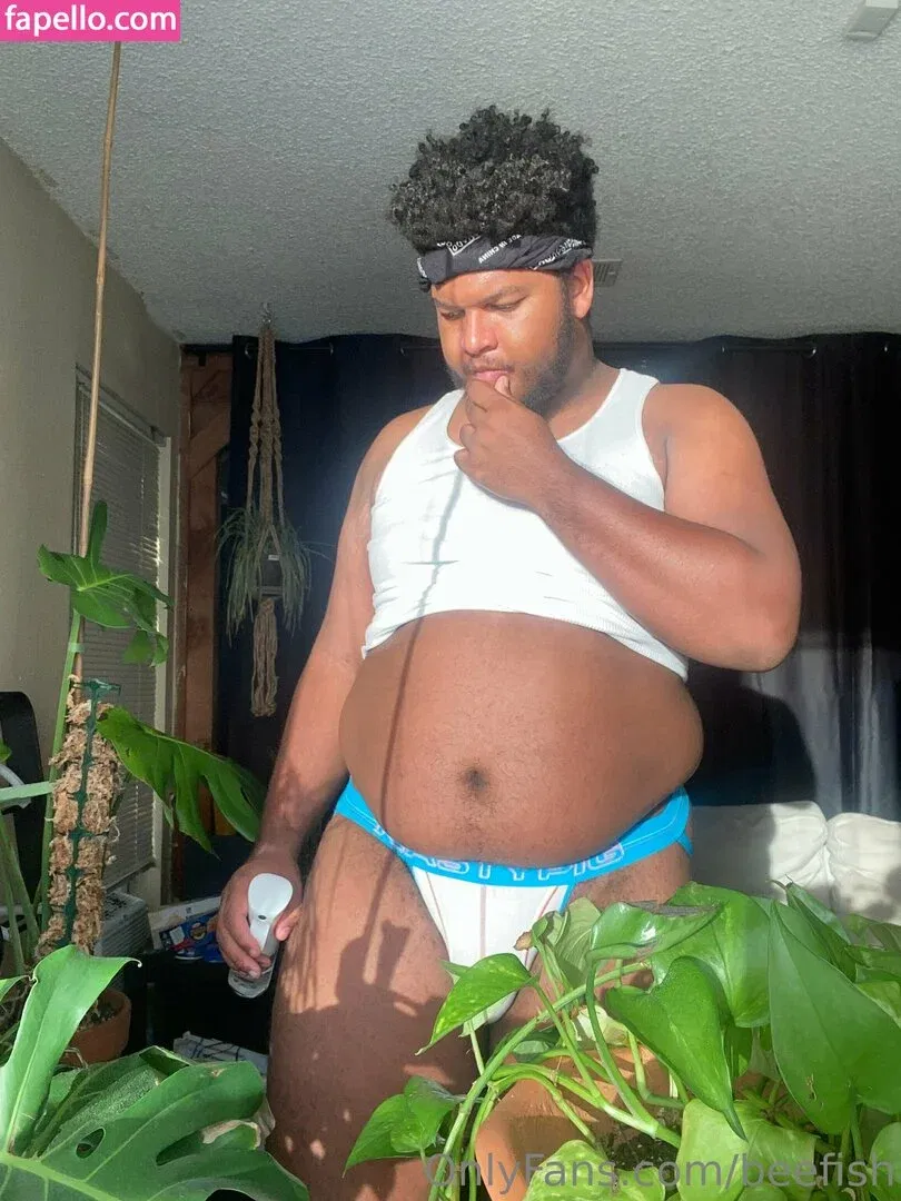 beefish Onlyfans Photo Gallery 