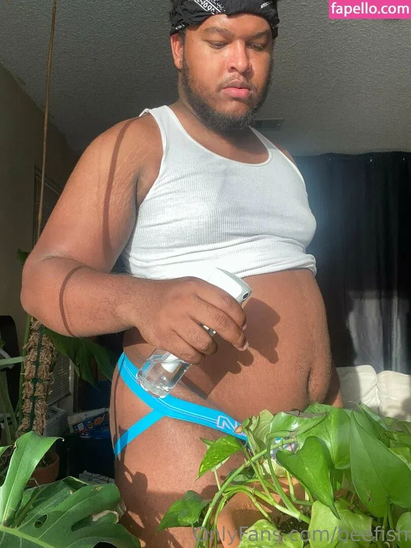 beefish Onlyfans Photo Gallery 