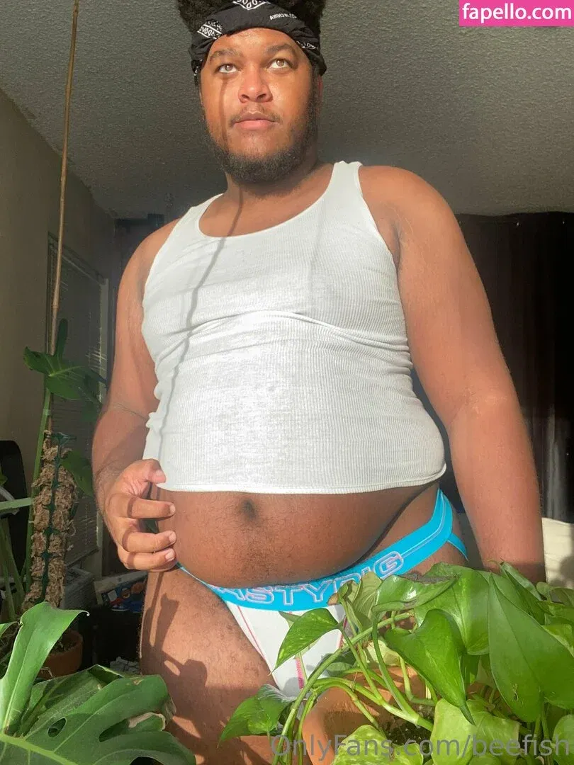 beefish Onlyfans Photo Gallery 