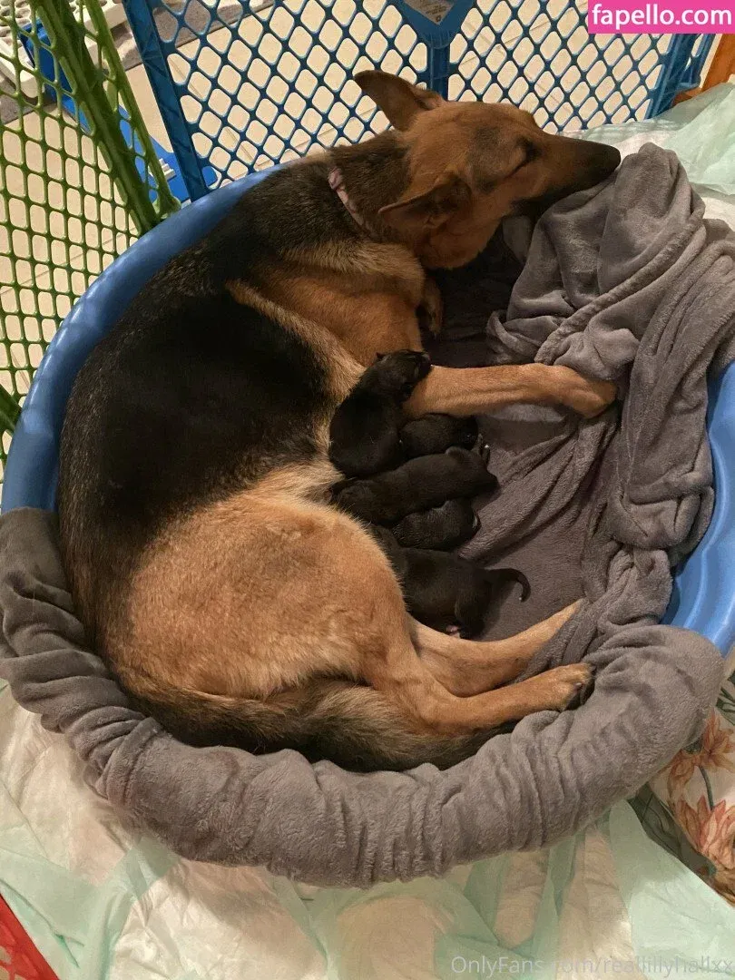 haaiileey Onlyfans Photo Gallery 