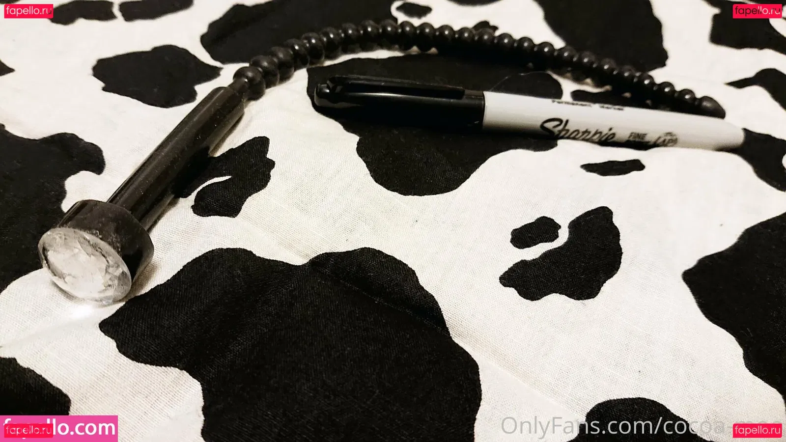 Casey.Mae Onlyfans Photo Gallery 