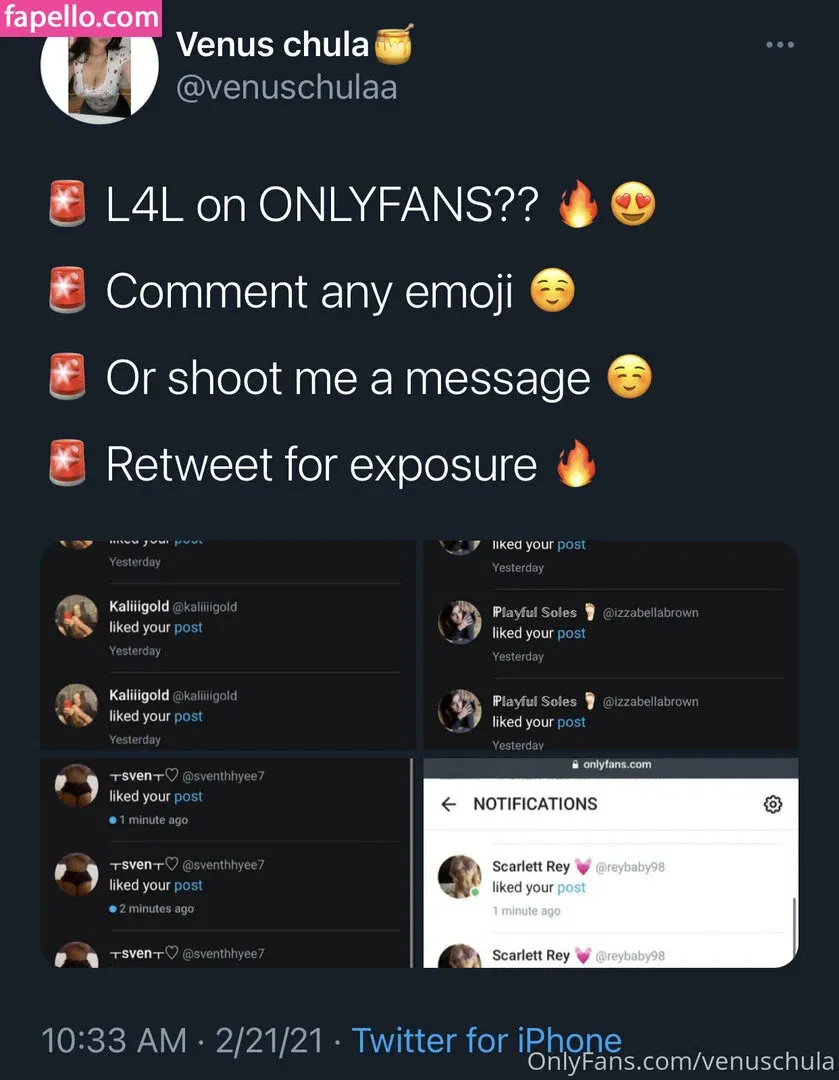 venuschula Onlyfans Photo Gallery 