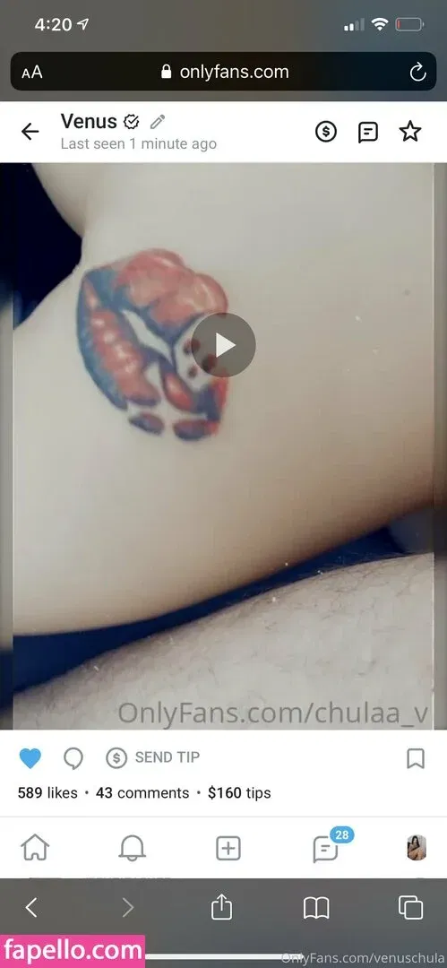 venuschula Onlyfans Photo Gallery 