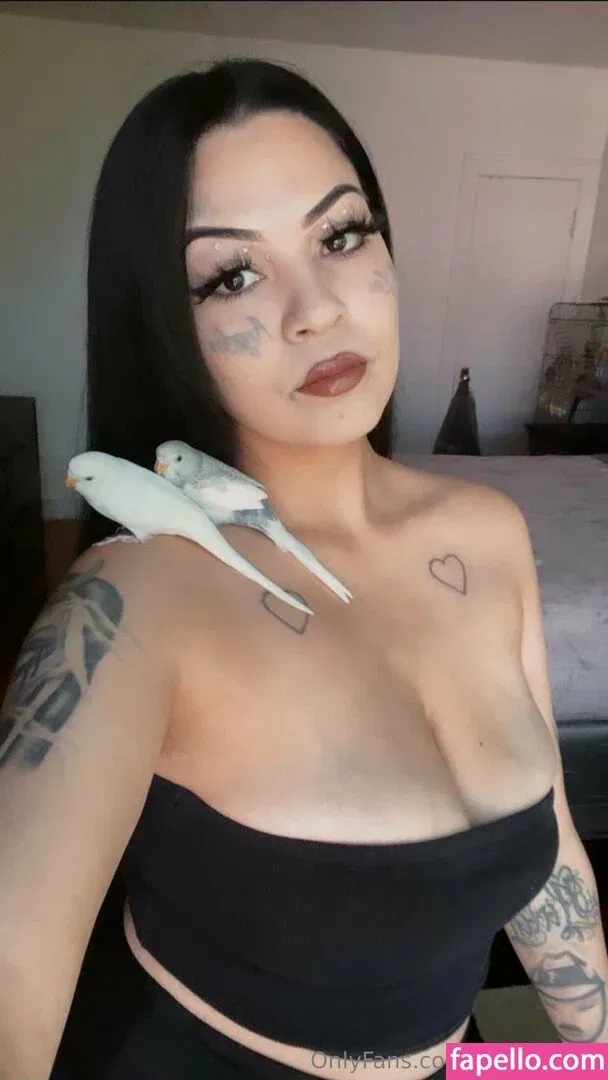 venuschula Onlyfans Photo Gallery 