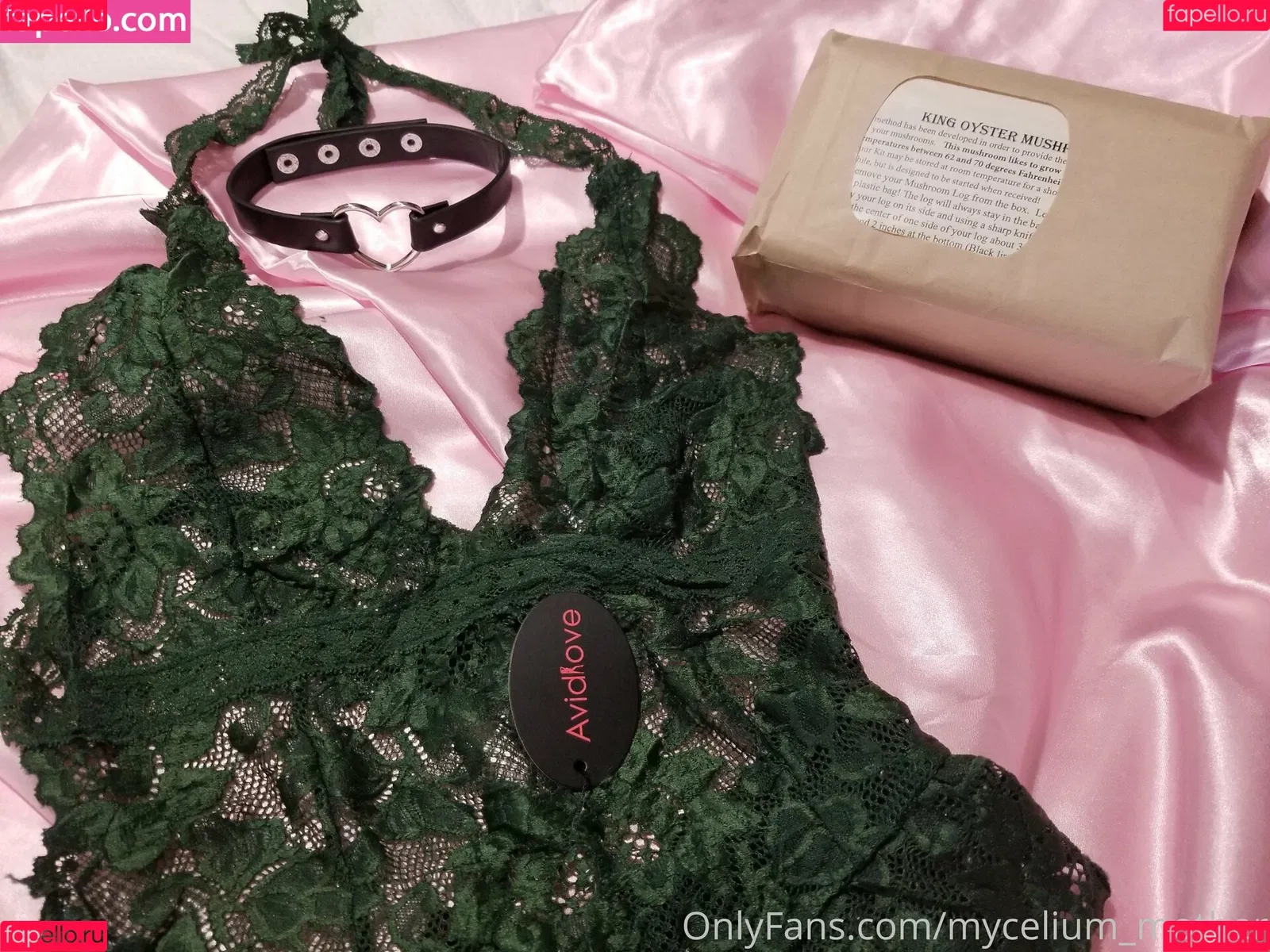 mycelium_mother Onlyfans Photo Gallery 