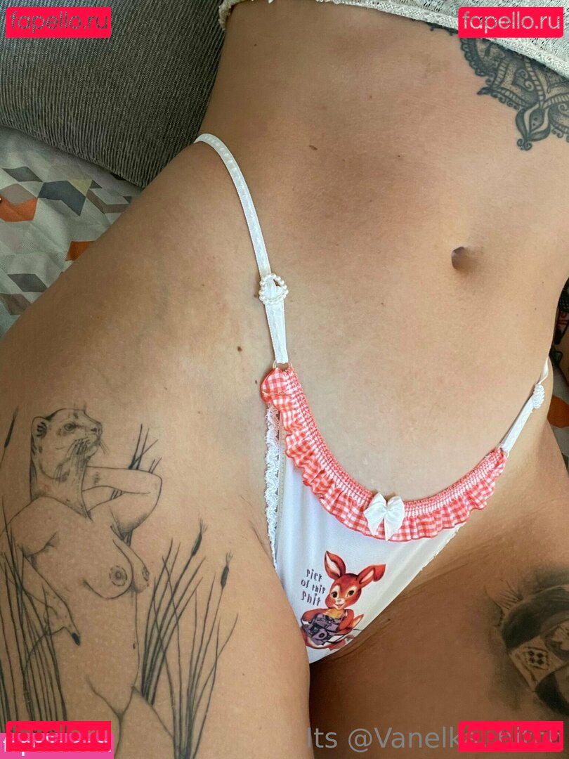 Vanelka / vanelkka Nude Onlyfans Photo 23